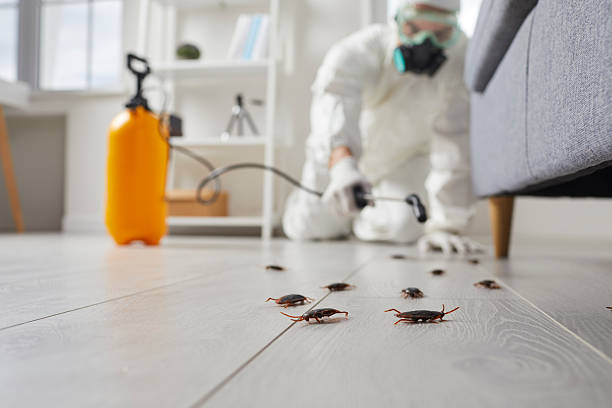 Commercial Rodent Management in Merrifield